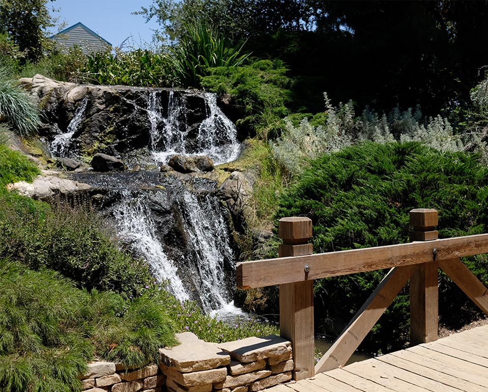 Fullerton Arboretum waterfall
