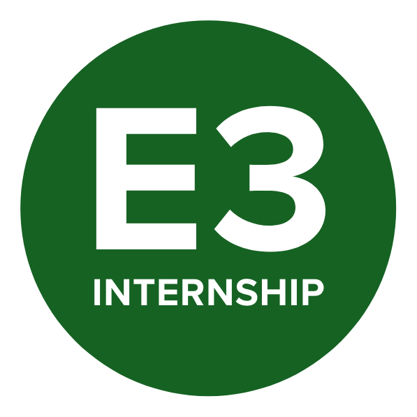 E3 Internship